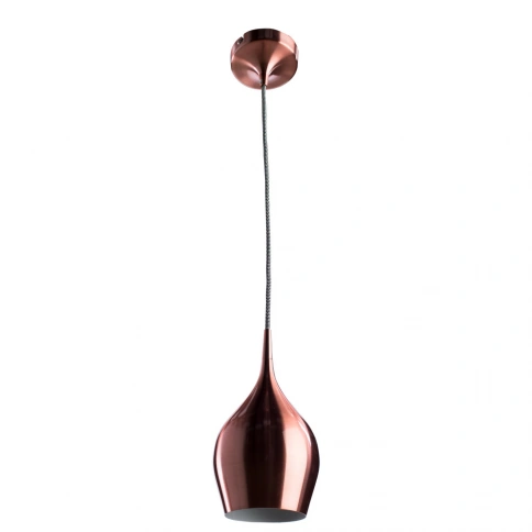 Подвесной светильник Arte Lamp VIBRANT A6412SP-1BZ фото 1