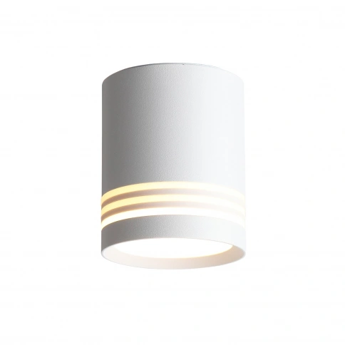 ST101.542.05 Светильник потолочный Белый LED 1*5W 4000K 390Lm Ra>80 120° IP20 D68xH80 170-240V фото 1