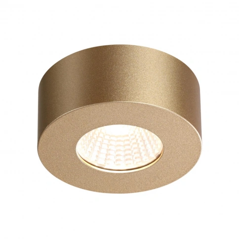 4284/7CL HIGHTECH ODL22 401 золотистый/металл Потолочный светильник IP20 LED 7W 781Лм 3000K BENE фото 3
