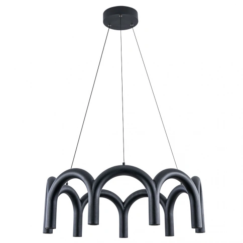 Подвесная люстра Arte Lamp WARHOL A3258LM-45BK фото 1