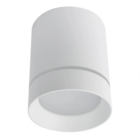 Точечный накладной светильник Arte Lamp ELLE A1909PL-1WH фото 1