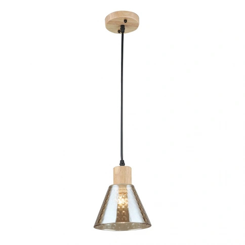 Подвесной светильник Arte Lamp LANCASTER A5891SP-1BK фото 1