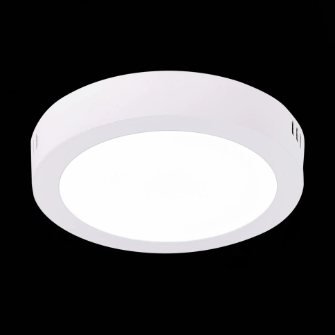 ST112.532.12 Светильник настенно-потолочный Белый LED 1*12W 3000K 715Lm Ra80 120° IP20 D160xH28 90-2 фото 1