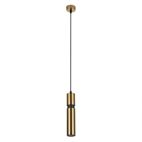 Точечный подвесной светильник ARTE LAMP RAN A3145SP-1PB фото 1