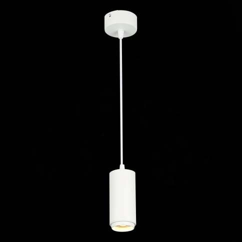 ST600.533.10 Светильник подвесной Zoom Белый LED 1*10W 3000K 1 000Lm Ra>80 15-60° IP20 D59xH130 170- фото 1