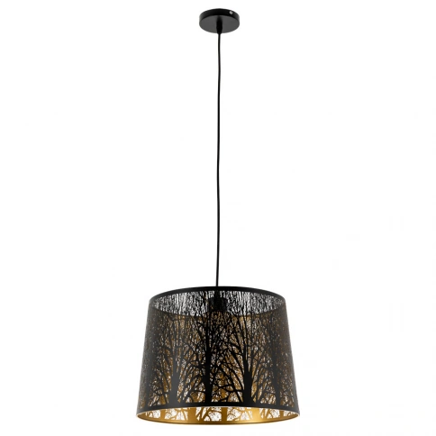 Подвесной светильник Arte Lamp CELESTA A2769SP-1BK фото 1