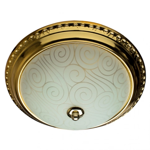 Потолочный светильник Arte Lamp ALTA A3013PL-2GO фото 1