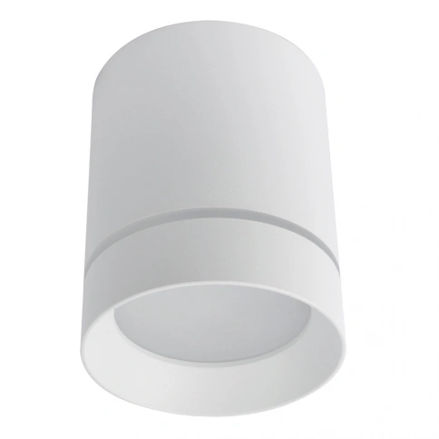 Точечный накладной светильник Arte Lamp ELLE A1949PL-1WH фото 1