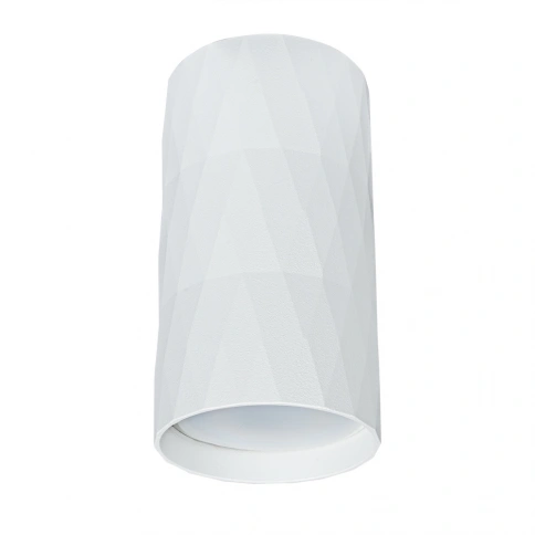 Точечный накладной светильник Arte Lamp FANG A5557PL-1WH фото 1