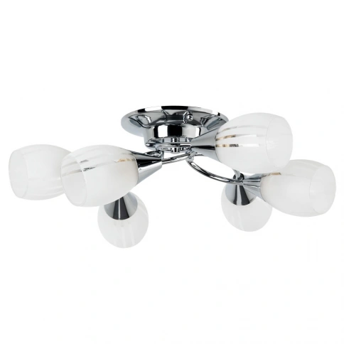 Потолочная люстра Arte Lamp PENNY A2701PL-6CC фото 1