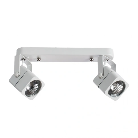 Спот Arte Lamp LENTE A1314PL-2WH фото 1