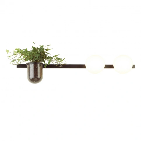 4681/2W WALLI ODL20 685 черный/белый Настенный светильник E14 2*40W 220V FLOWER фото 3