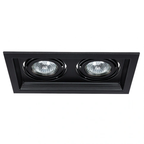 Точечный встраиваемый светильник Arte Lamp CANIS A6661PL-2BK фото 1