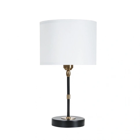Декоративная настольная лампа Arte Lamp JAMIE A4090LT-1BK фото 1
