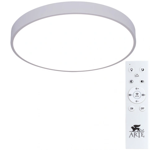 Потолочный светильник Arte Lamp ARENA A2670PL-1WH фото 1
