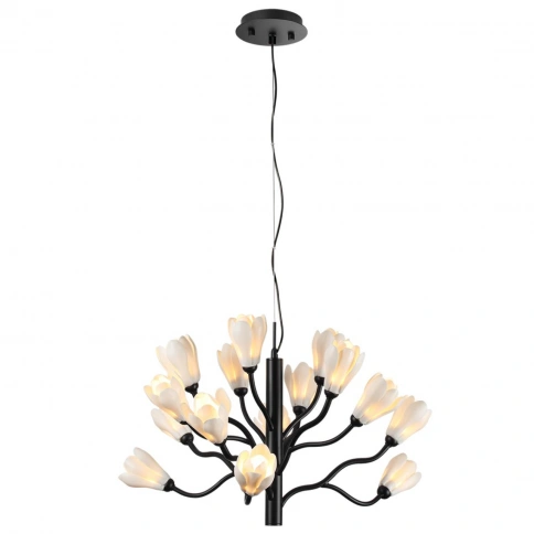 5090/15 MODERN ODL25 561 черный матовый/белый/фарфор Люстра G4 LED 15*5W GARDI фото 4
