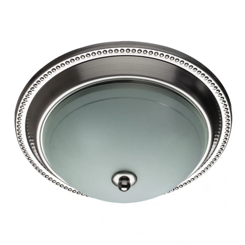 Потолочный светильник Arte Lamp ALTA A3011PL-2SS фото 1