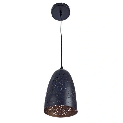 Подвесной светильник Arte Lamp BUCHINO A1615SP-1BK фото 1