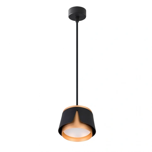 Подвесной светильник Arte Lamp AMAKS A8028SP-1BK фото 1