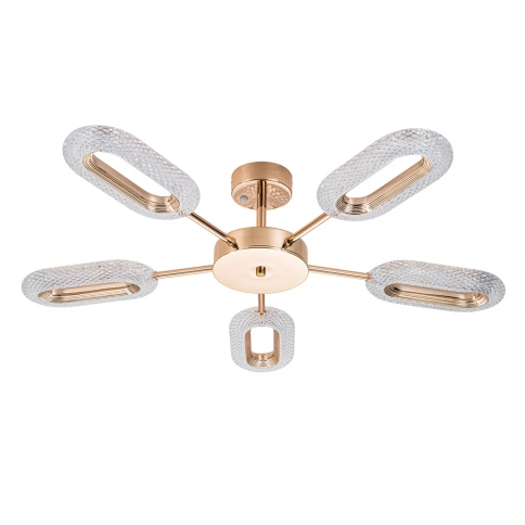 Потолочная люстра ARTE LAMP OVALE A2489PL-5GO фото 1
