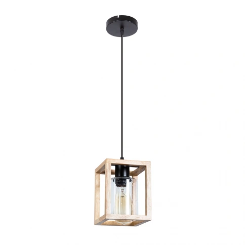 Подвесной светильник Arte Lamp DUBLIN A7025SP-1BK фото 1