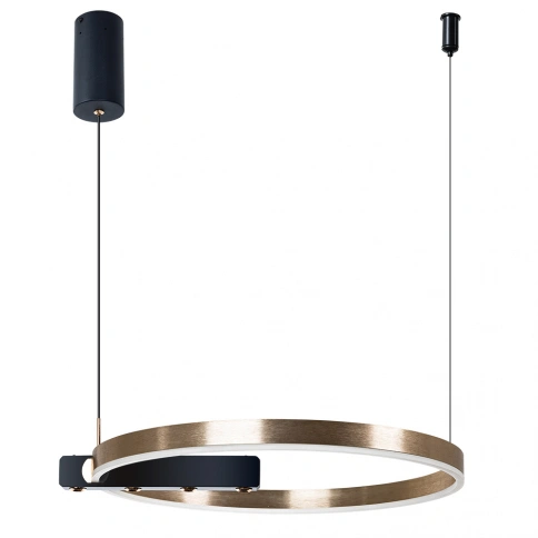 Подвесная люстра Arte Lamp VERITATE A2221SP-1BR фото 1