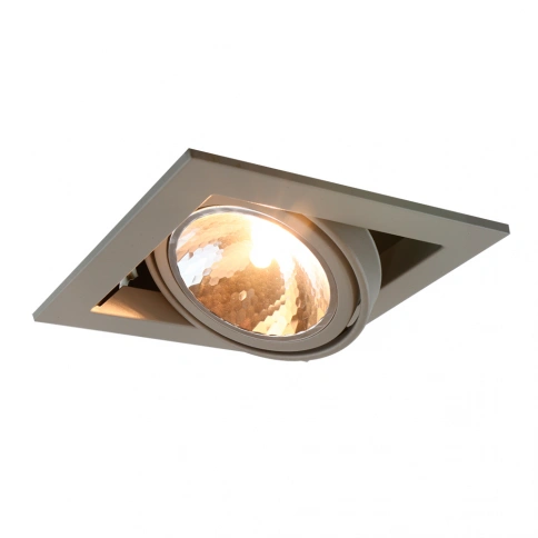 Карданный светильник Arte Lamp CARDANI SEMPLICE A5949PL-1GY фото 1
