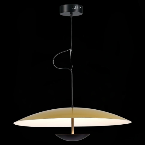 SL6502.213.01 Светильник подвесной ST-Luce Золотистый,Черный/Золотистый LED 1*40W 3000K фото 1