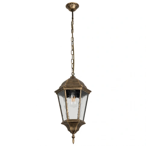 Уличный подвесной светильник Arte Lamp GENOVA A1204SO-1BN фото 1