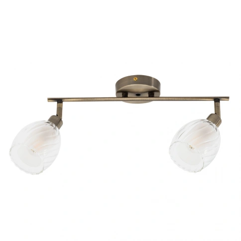 Спот Arte Lamp BIHAM A3184PL-2AB фото 1