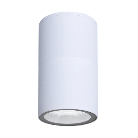 Фасадный светильник Arte Lamp MISTERO A3302PF-1WH фото 1