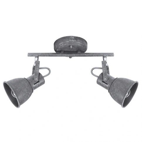 Спот Arte Lamp JOVI A1677PL-2GY фото 1