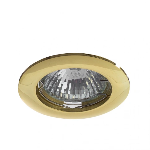Точечный встраиваемый светильник Arte Lamp BASIC A2103PL-1GO фото 1