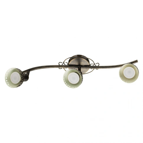 Спот Arte Lamp FOCUS A5219PL-3BR фото 1