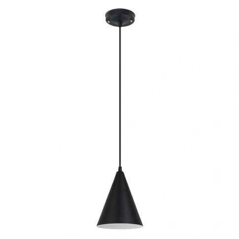 Подвесной светильник Arte Lamp LARK A7074SP-1BK фото 1