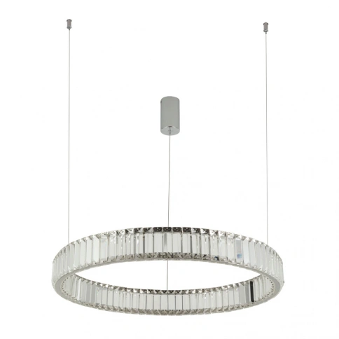 Подвесная люстра Divinare RENATA 1135/02 SP-36 фото 1