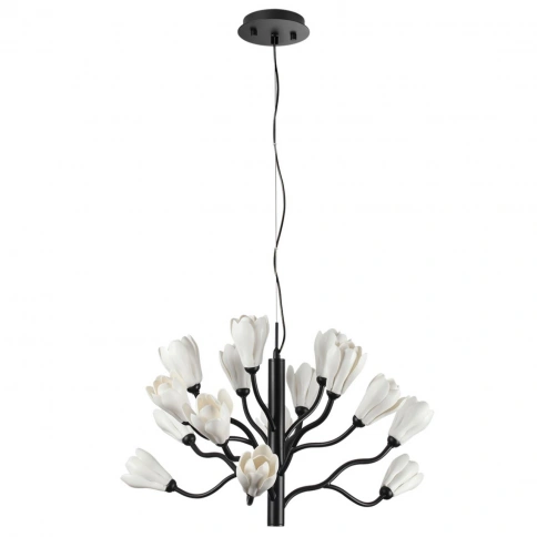 5090/15 MODERN ODL25 561 черный матовый/белый/фарфор Люстра G4 LED 15*5W GARDI фото 1