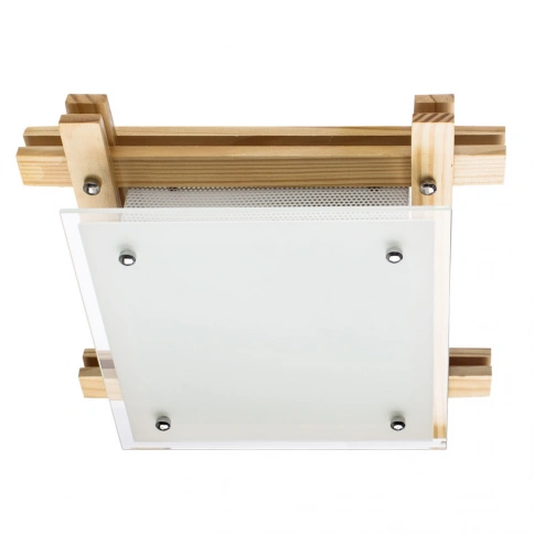 Потолочный светильник Arte Lamp ARCHIMEDE A6460PL-2BR фото 1