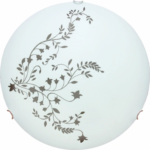 Потолочный светильник Arte Lamp ORNAMENT A3820PL-2CC фото 1