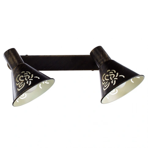 Спот Arte Lamp CONO A5218AP-2BR фото 1