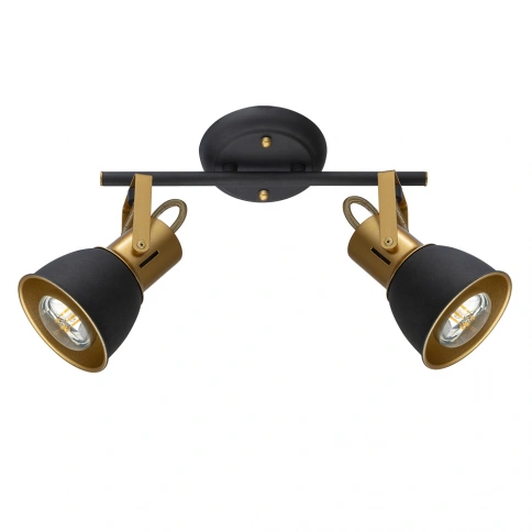 Спот Arte Lamp JOVI A1677PL-2GO фото 1