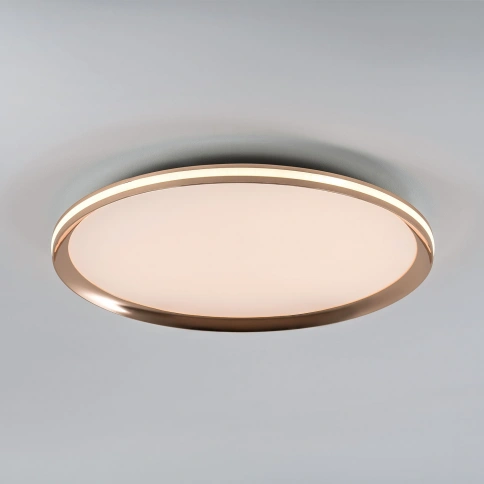 Потолочный cветильник LED4U L3020-500 GD фото 2