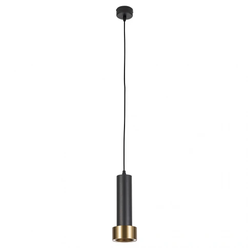 Подвесной светильник Arte Lamp RAN A3147SP-1BK фото 1