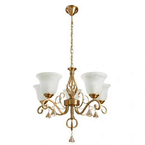 Подвесная люстра Arte Lamp CONIS A8391LM-5PB фото 1