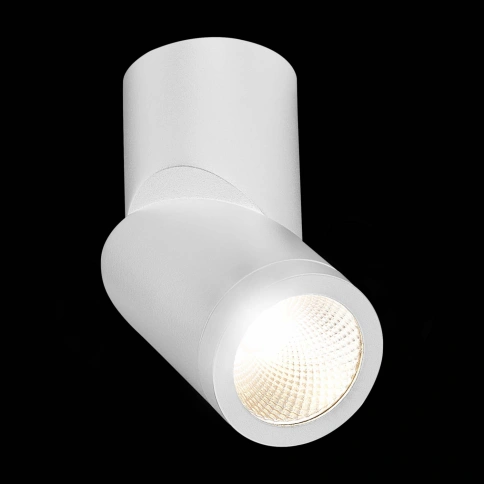 ST650.542.10 Светильник потолочный Белый LED 1*10W 4000K 800Lm Ra>90 38° IP44 D62xH151 165-265V фото 1