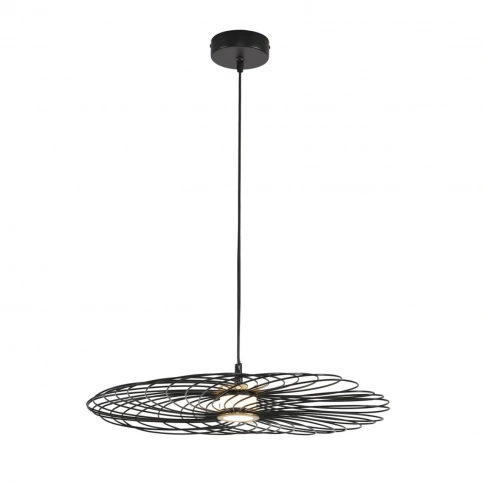 8379/10L LEDIO черный, металл/акрил Подвес LED 10W 3000K 220V CAMOMILE фото 2