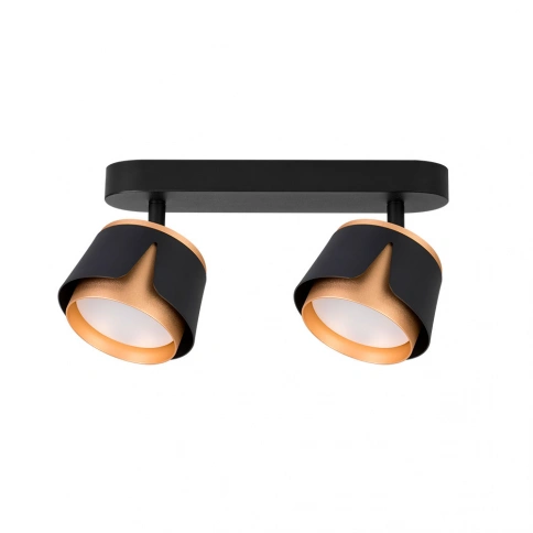 Спот Arte Lamp AMAKS A8028PL-2BK фото 1