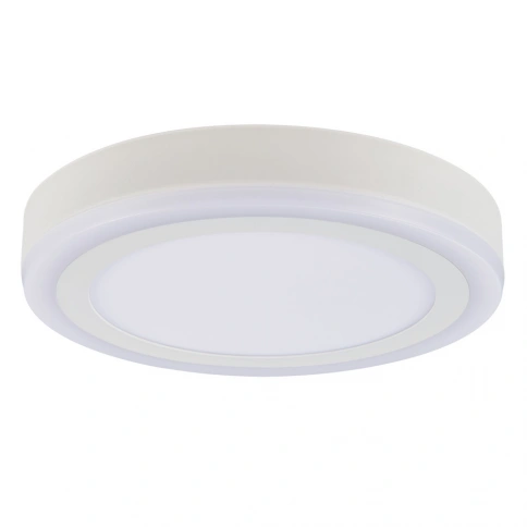 Потолочный светильник Arte Lamp ANTARES A7824PL-2WH фото 1