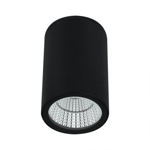 Уличный потолочный светильник Arte Lamp TORCULAR A1807PF-1BK фото 1