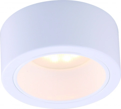 Точечный накладной светильник Arte Lamp EFFETTO A5553PL-1WH фото 1